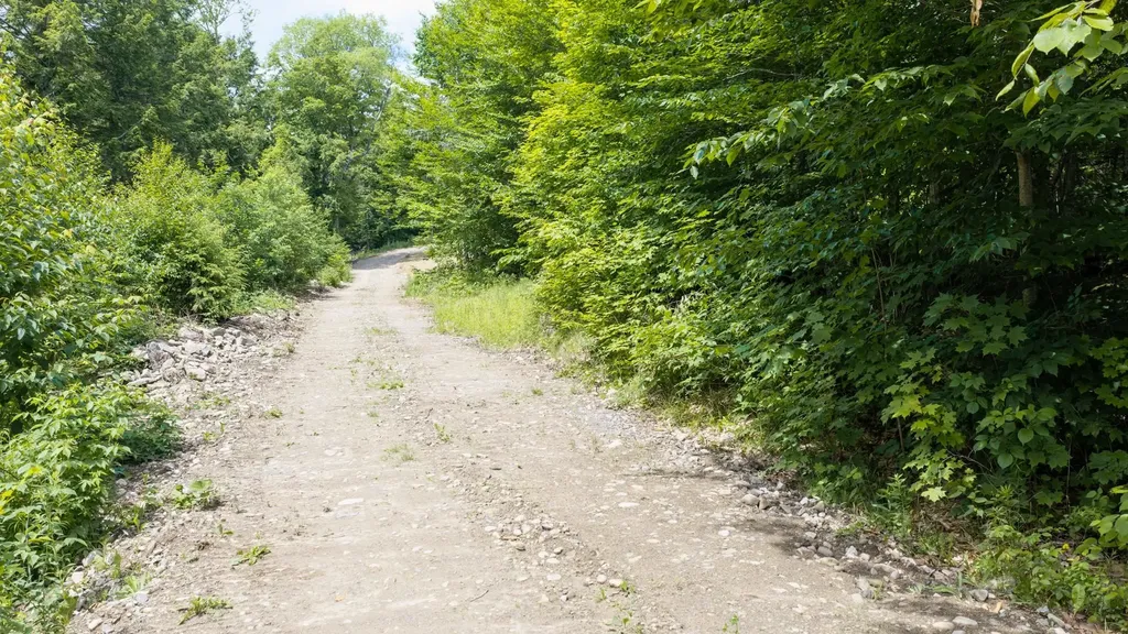 0 Stoney Brook Road Londonderry VT 05148