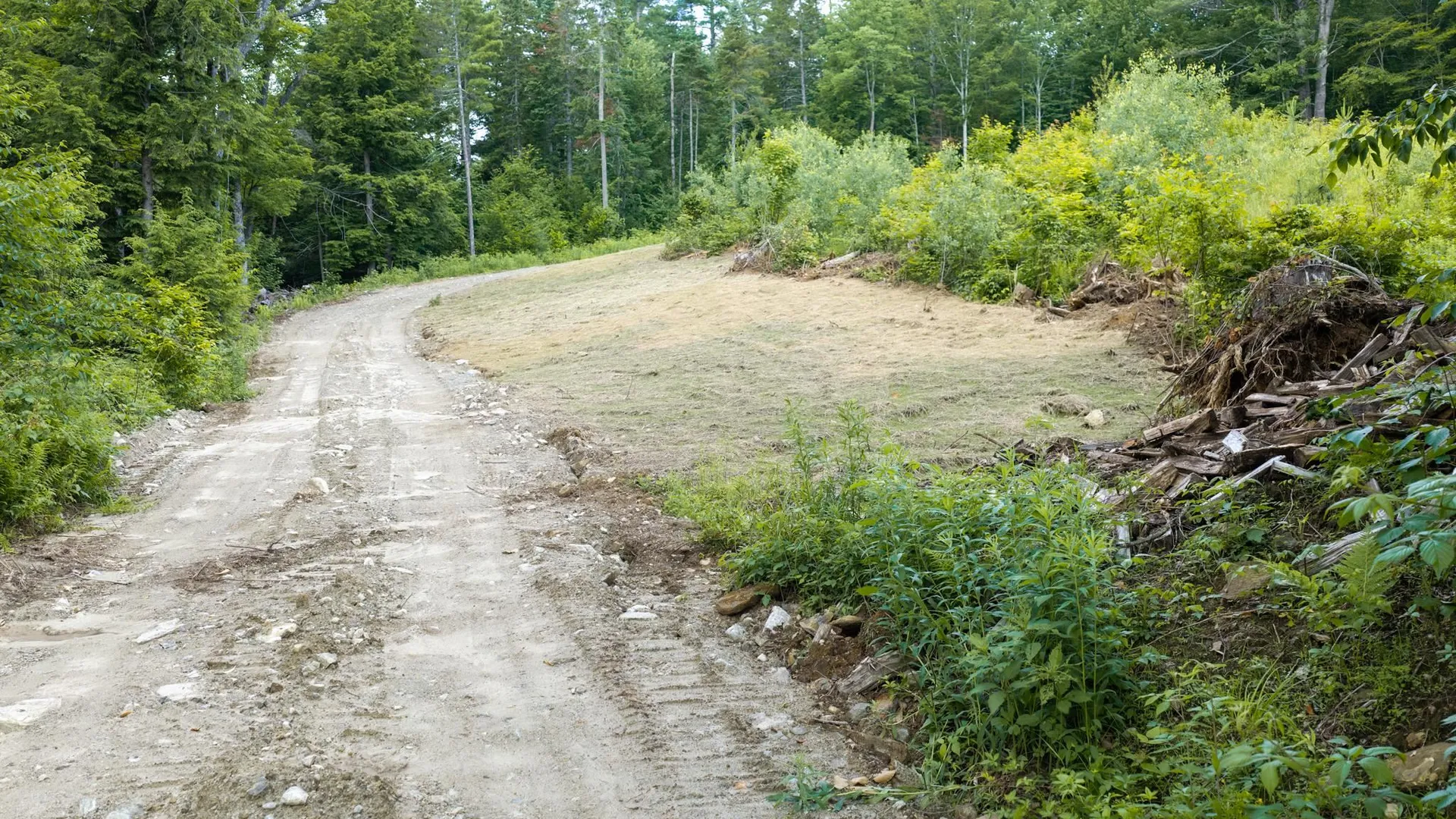 0 Stoney Brook Road Londonderry VT 05148