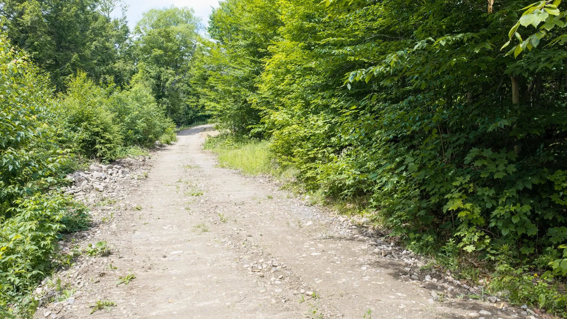 0 Stoney Brook Road Londonderry VT 05148