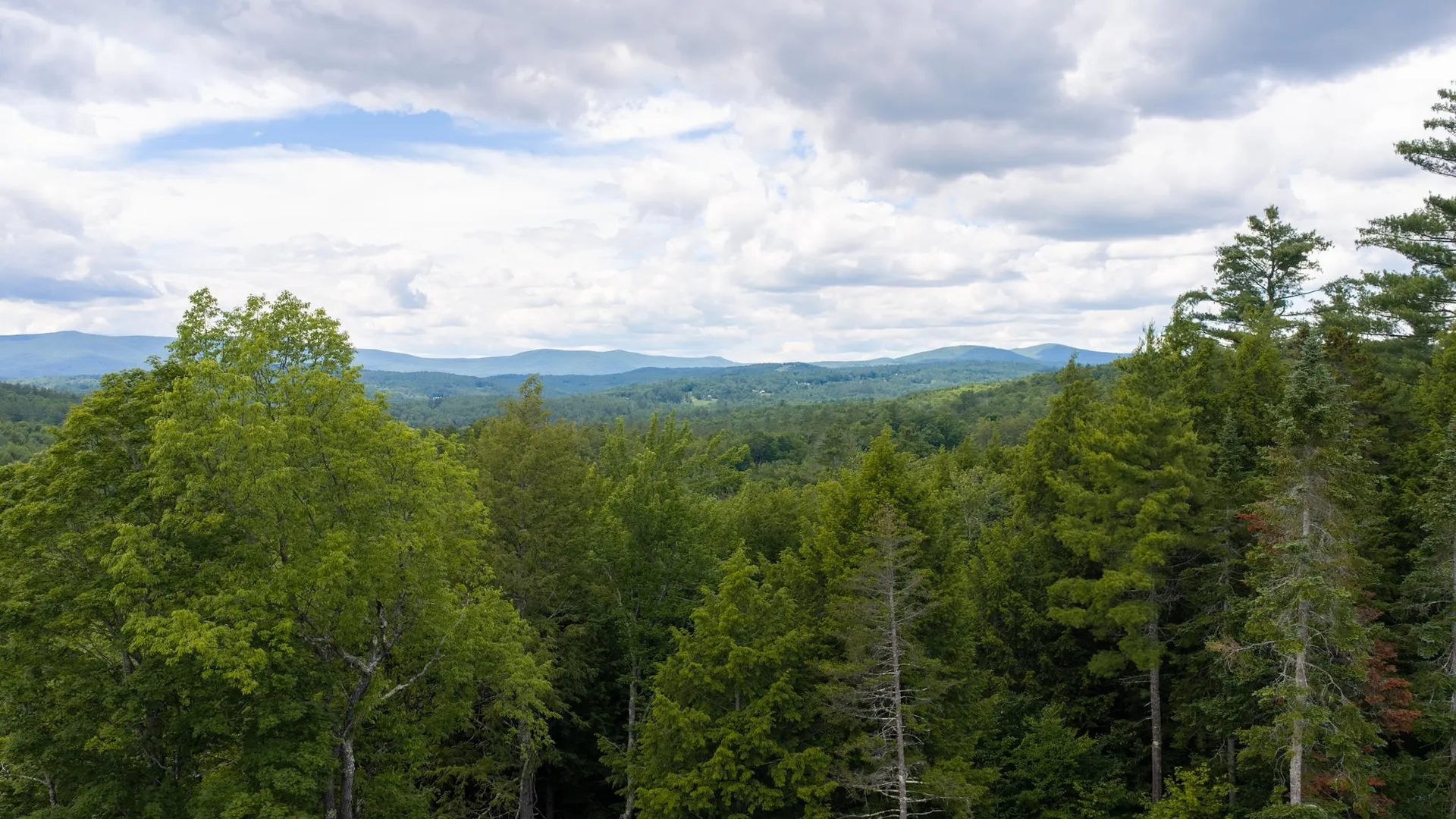 0 Stoney Brook Road Londonderry VT 05148