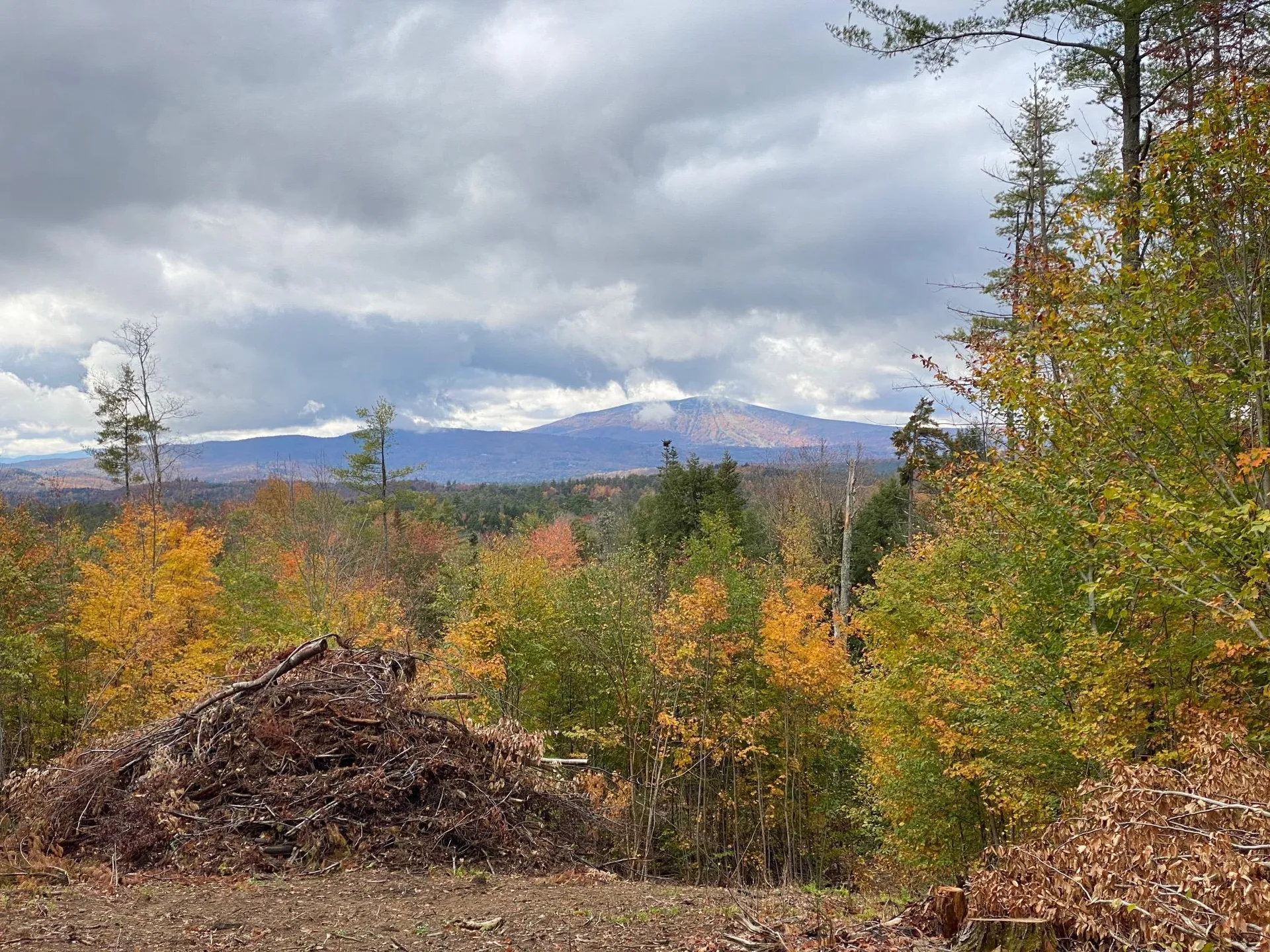 0 Stoney Brook Road Londonderry VT 05148