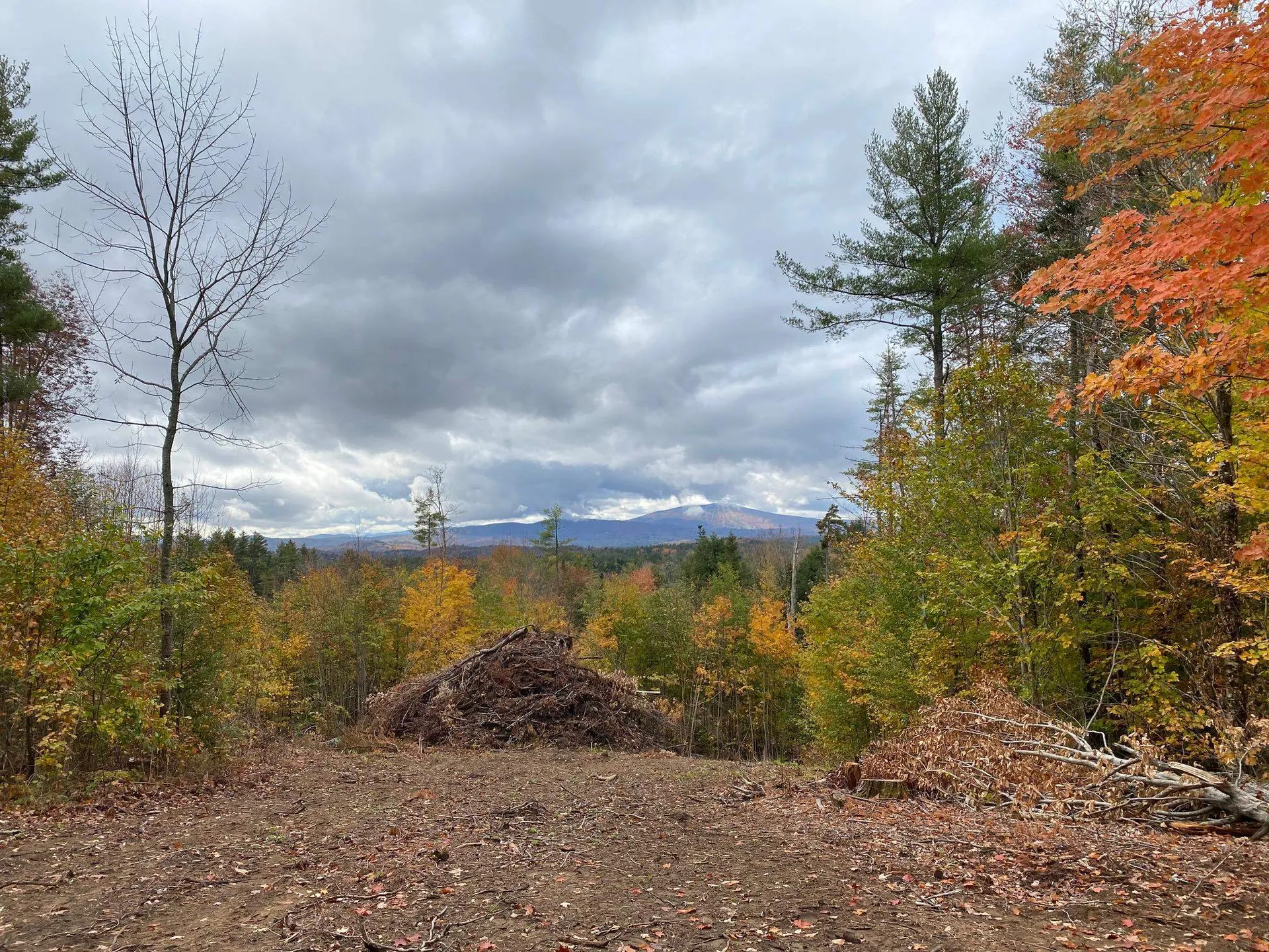 0 Stoney Brook Road Londonderry VT 05148