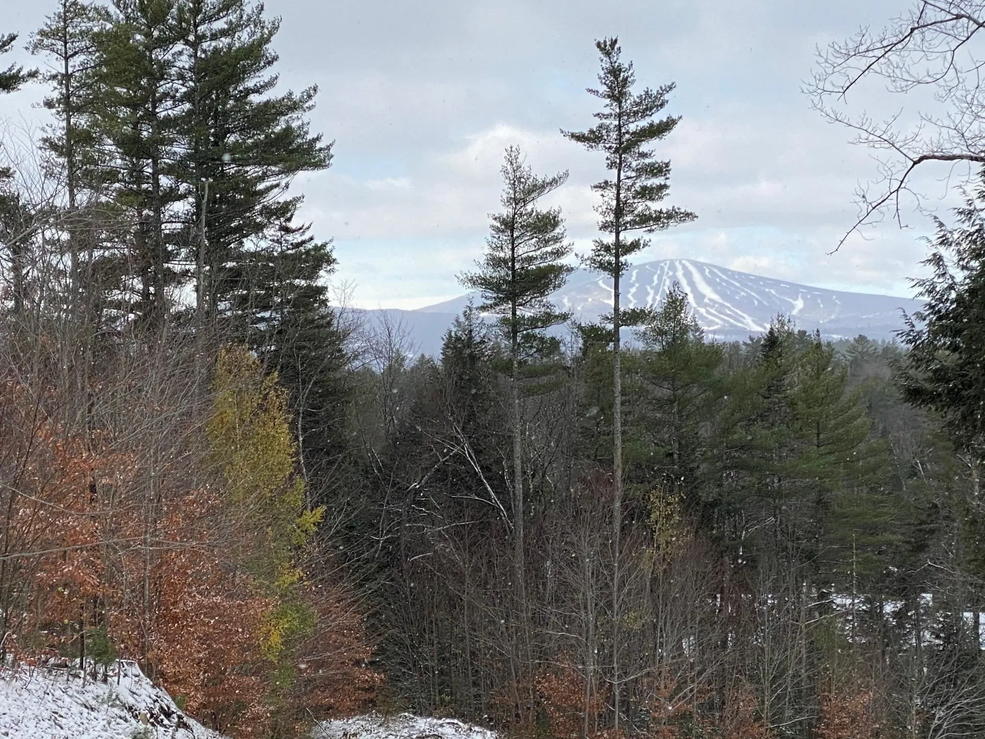 0 Stoney Brook Road Londonderry VT 05148