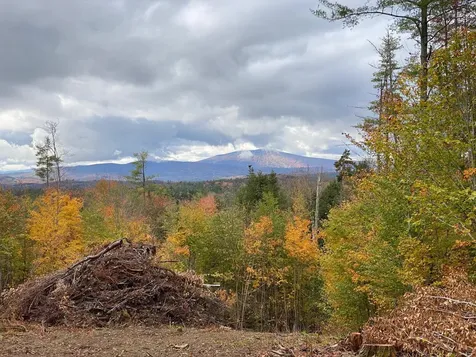 0 Stoney Brook Road Londonderry VT 05148