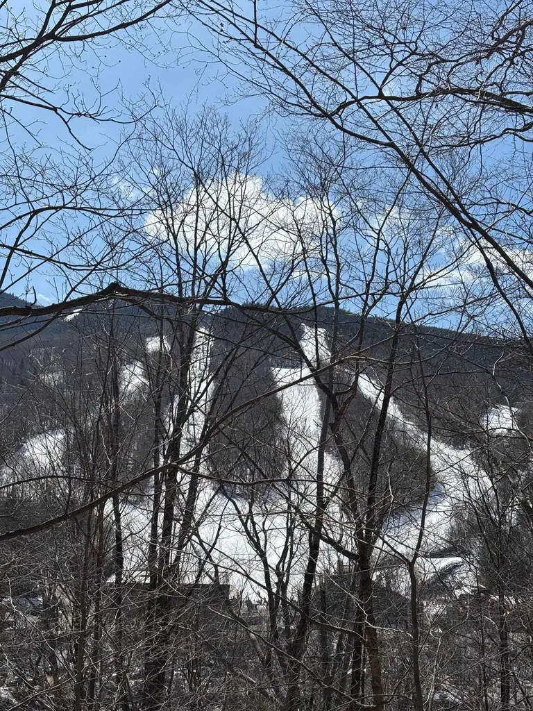 3 Blueberry Road Lincoln NH 03251