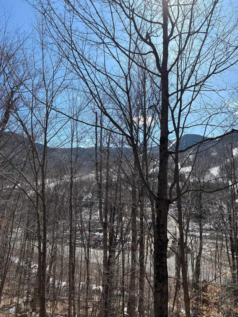 3 Blueberry Road Lincoln NH 03251