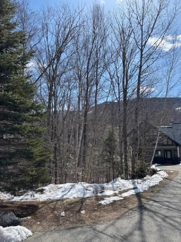 3 Blueberry Road Lincoln NH 03251