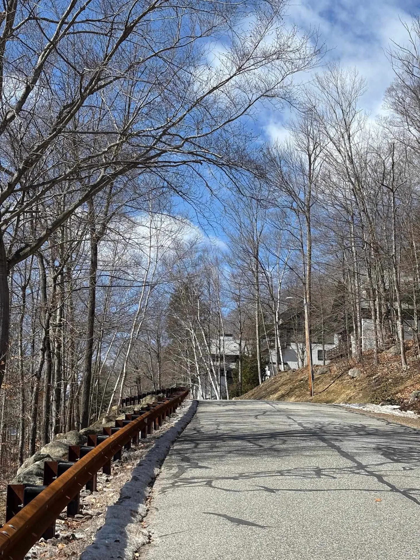 3 Blueberry Road Lincoln NH 03251