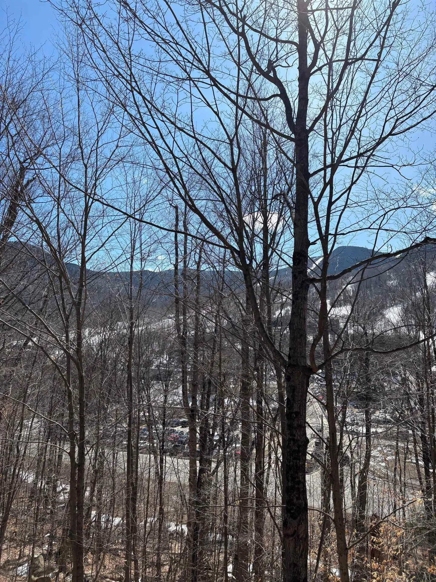 3 Blueberry Road Lincoln NH 03251