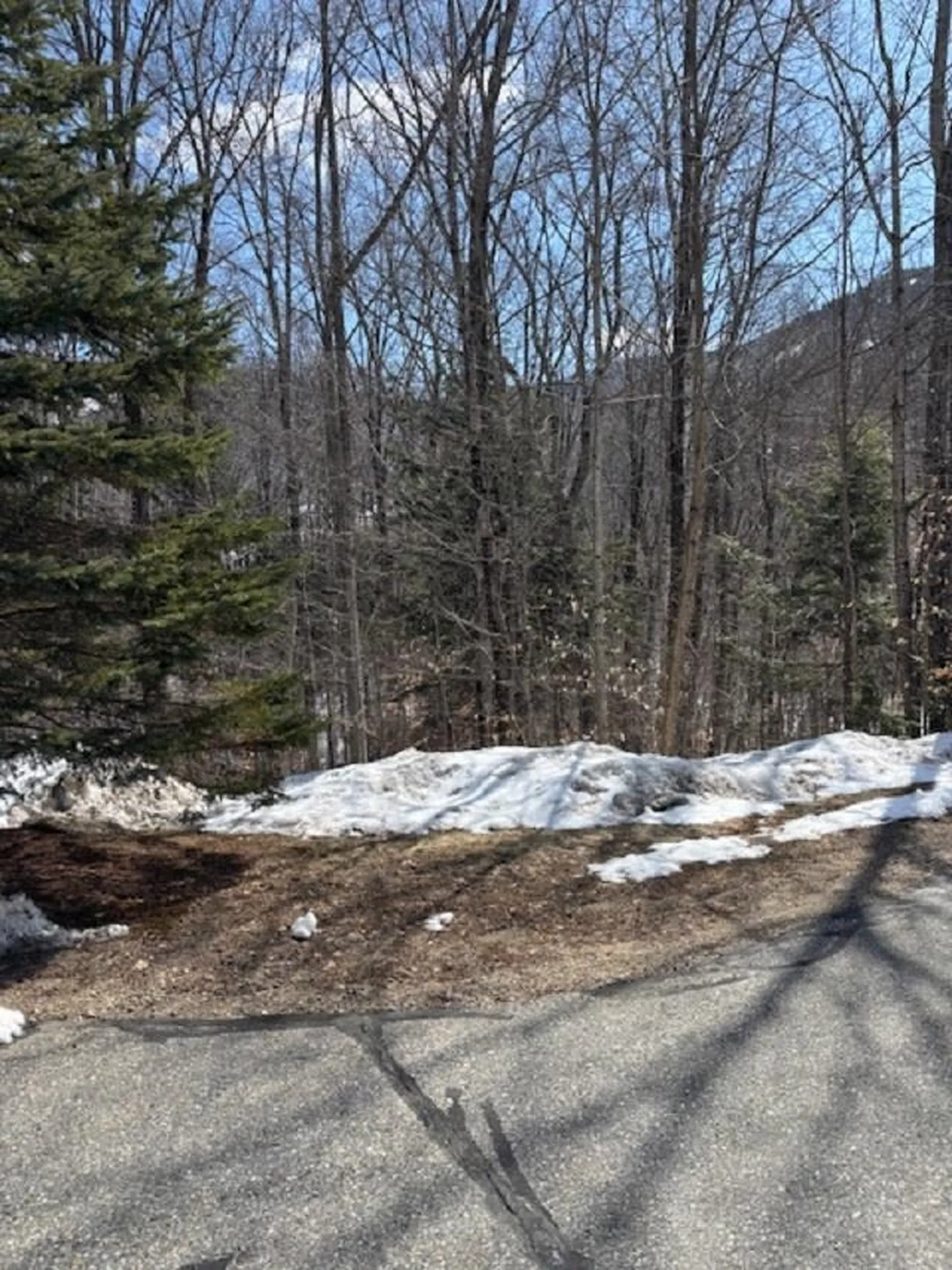 3 Blueberry Road Lincoln NH 03251