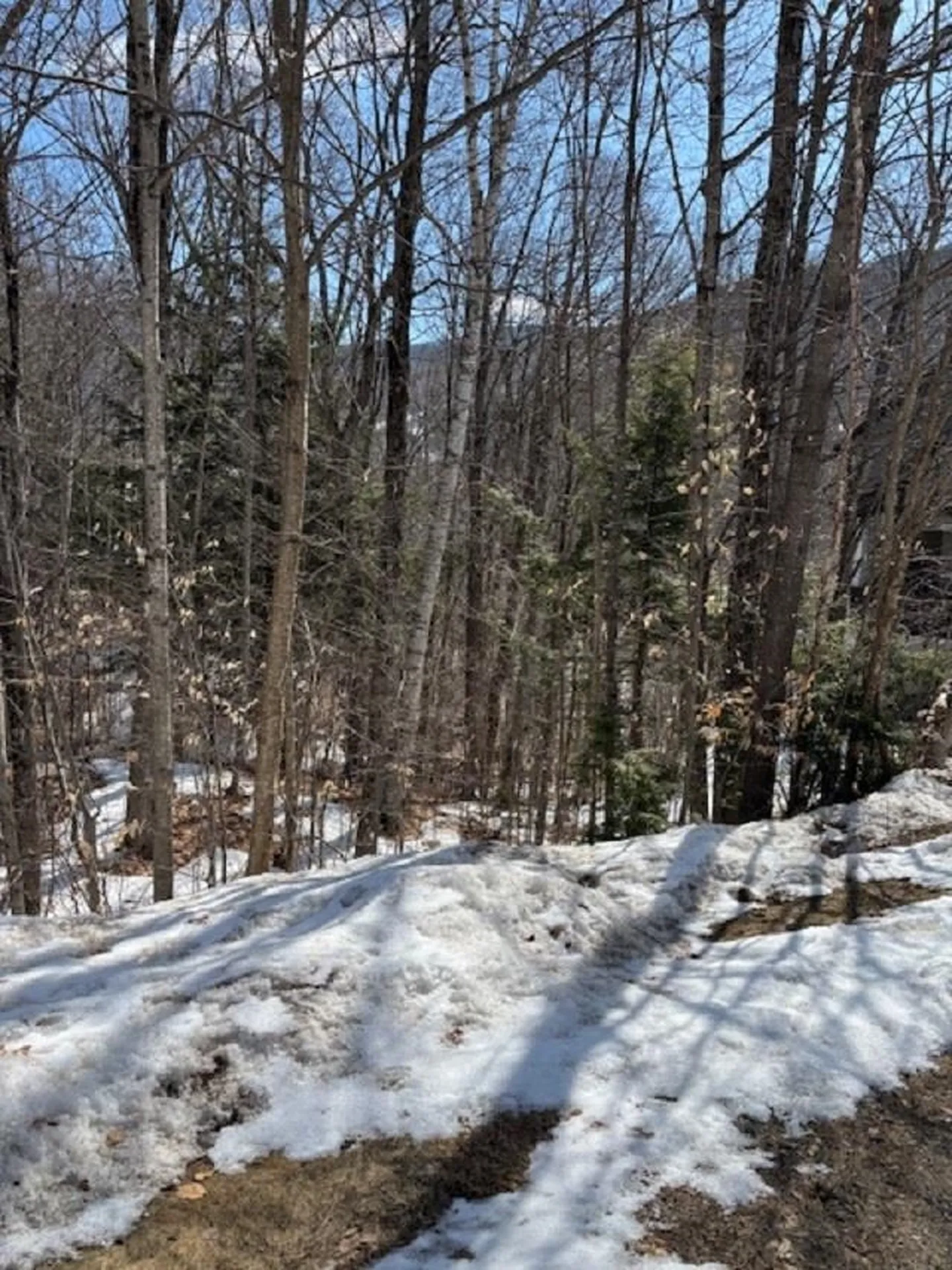 3 Blueberry Road Lincoln NH 03251