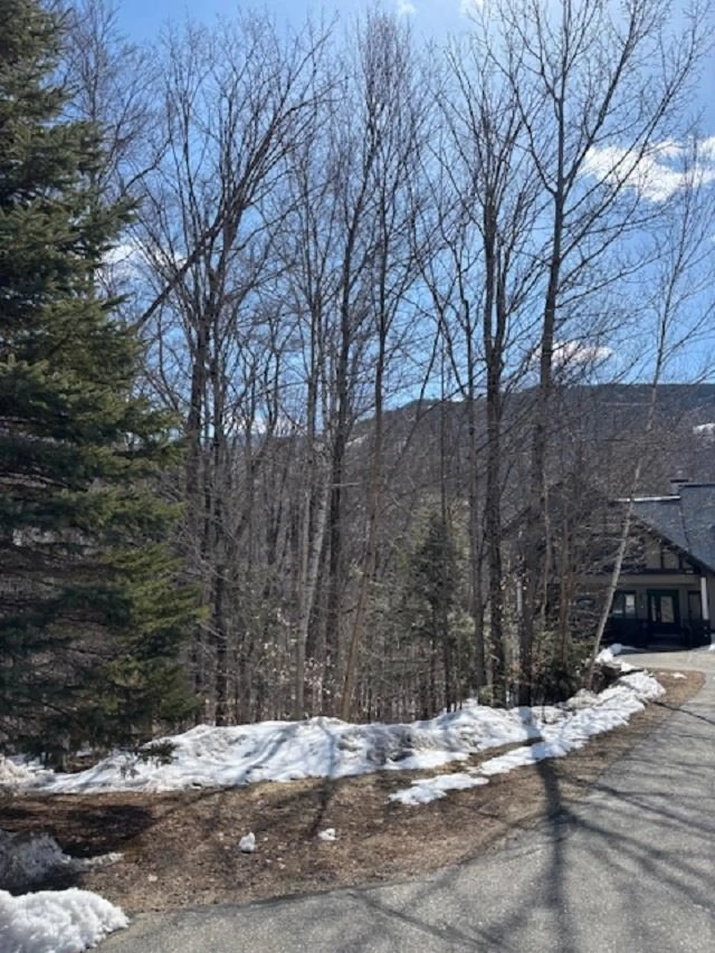 3 Blueberry Road Lincoln NH 03251