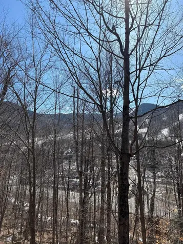 3 Blueberry Road Lincoln NH 03251