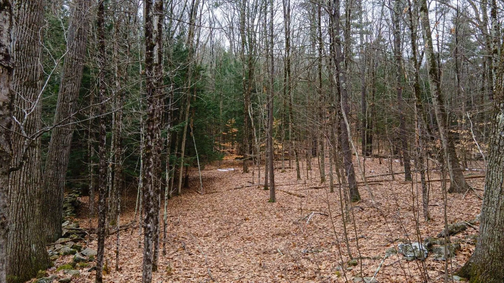 00 Patton Road Westmoreland NH 03467