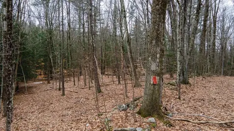 00 Patton Road Westmoreland NH 03467