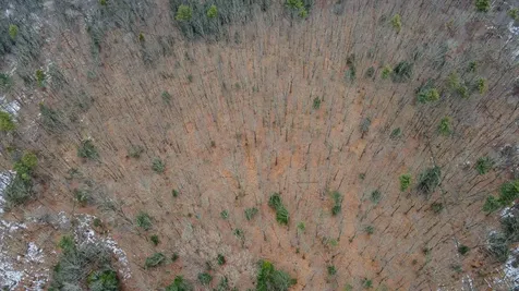 00 Patton Road Westmoreland NH 03467