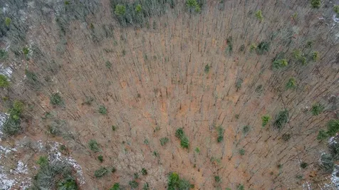 00 Patton Road Westmoreland NH 03467