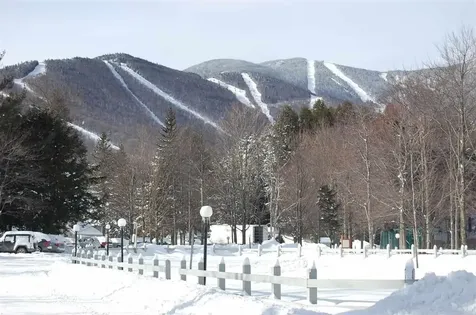 42 Lower Phase Road Warren VT 05674
