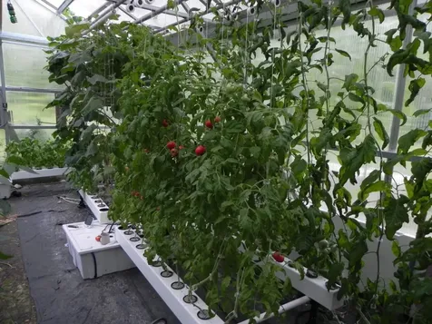 57 Oak Lane Jamaica VT 05343