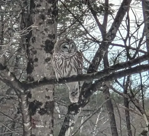 57 Oak Lane Jamaica VT 05343