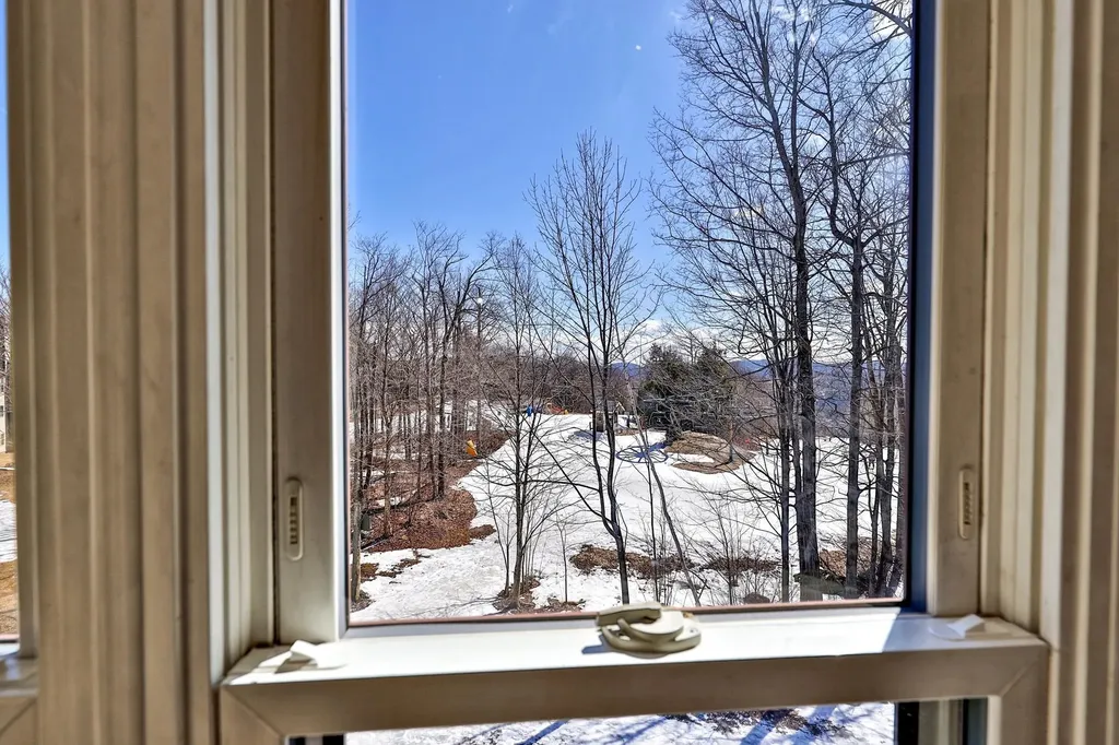 58 Harrison Lane Ludlow VT 05149