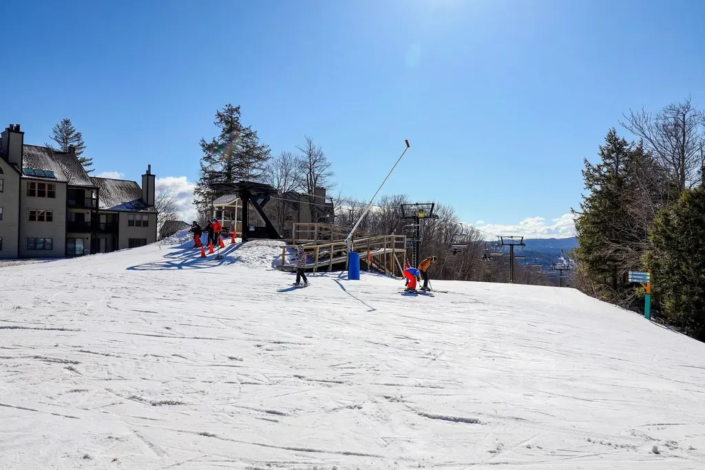 58 Harrison Lane Ludlow VT 05149
