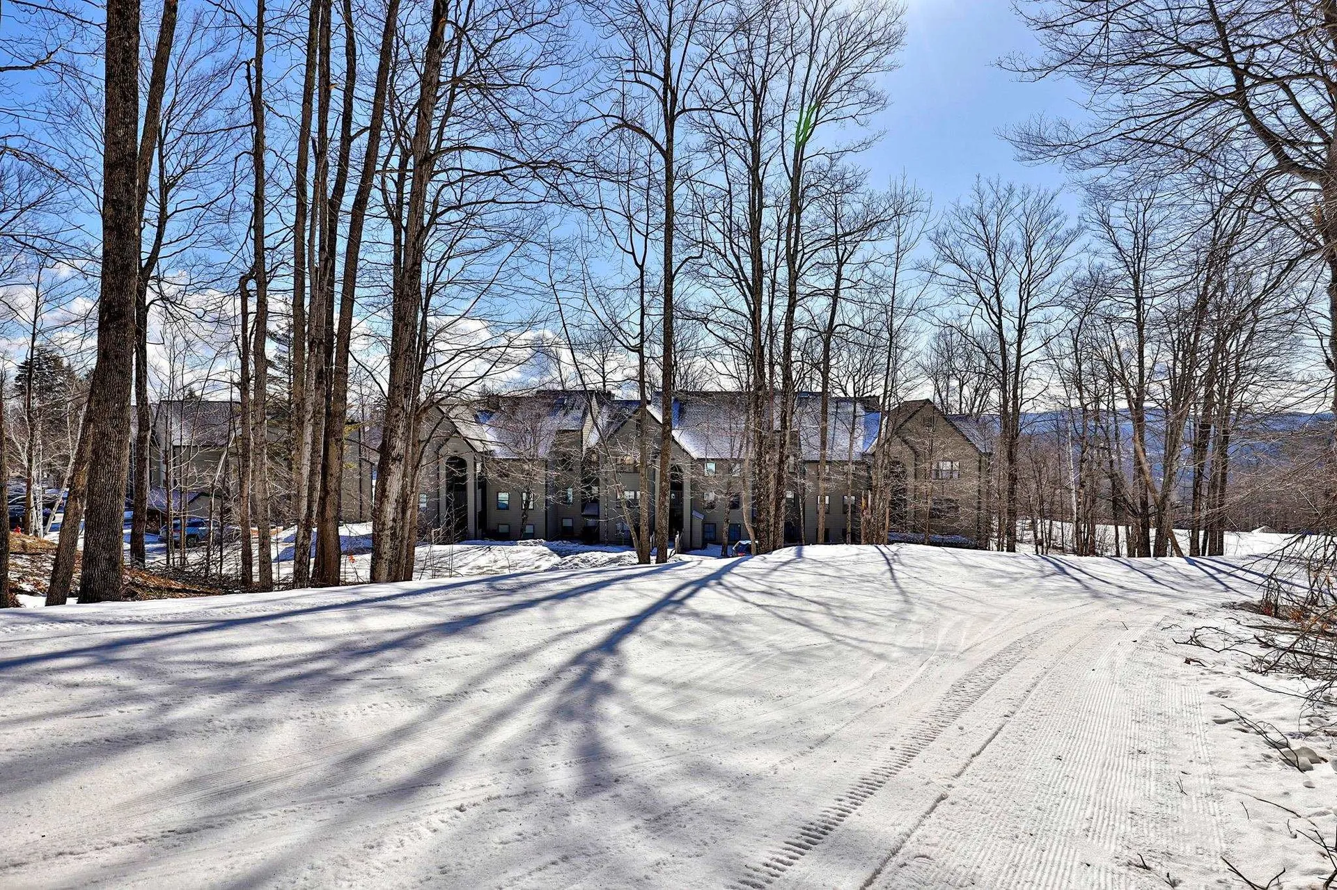 58 Harrison Lane Ludlow VT 05149