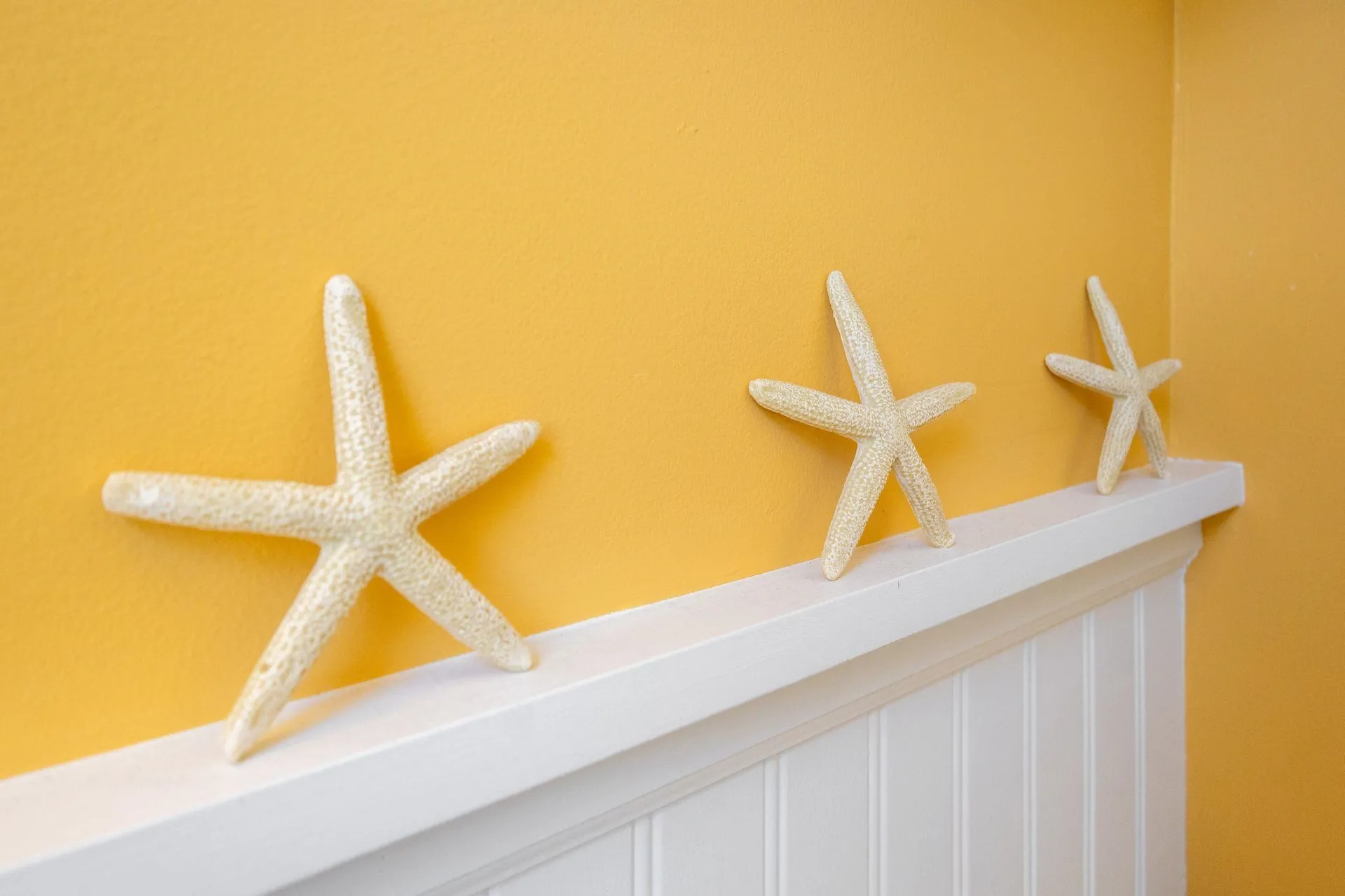 522 Ocean Boulevard Hampton NH 03842