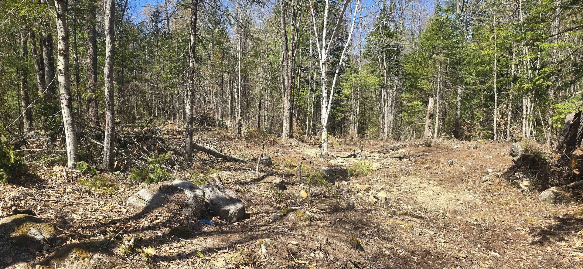 15 Adams Way Middleton NH 03887