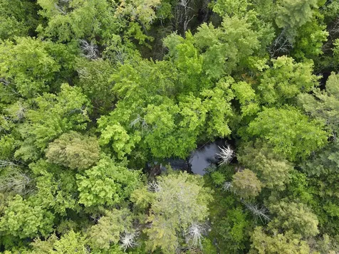 15 Adams Way Middleton NH 03887