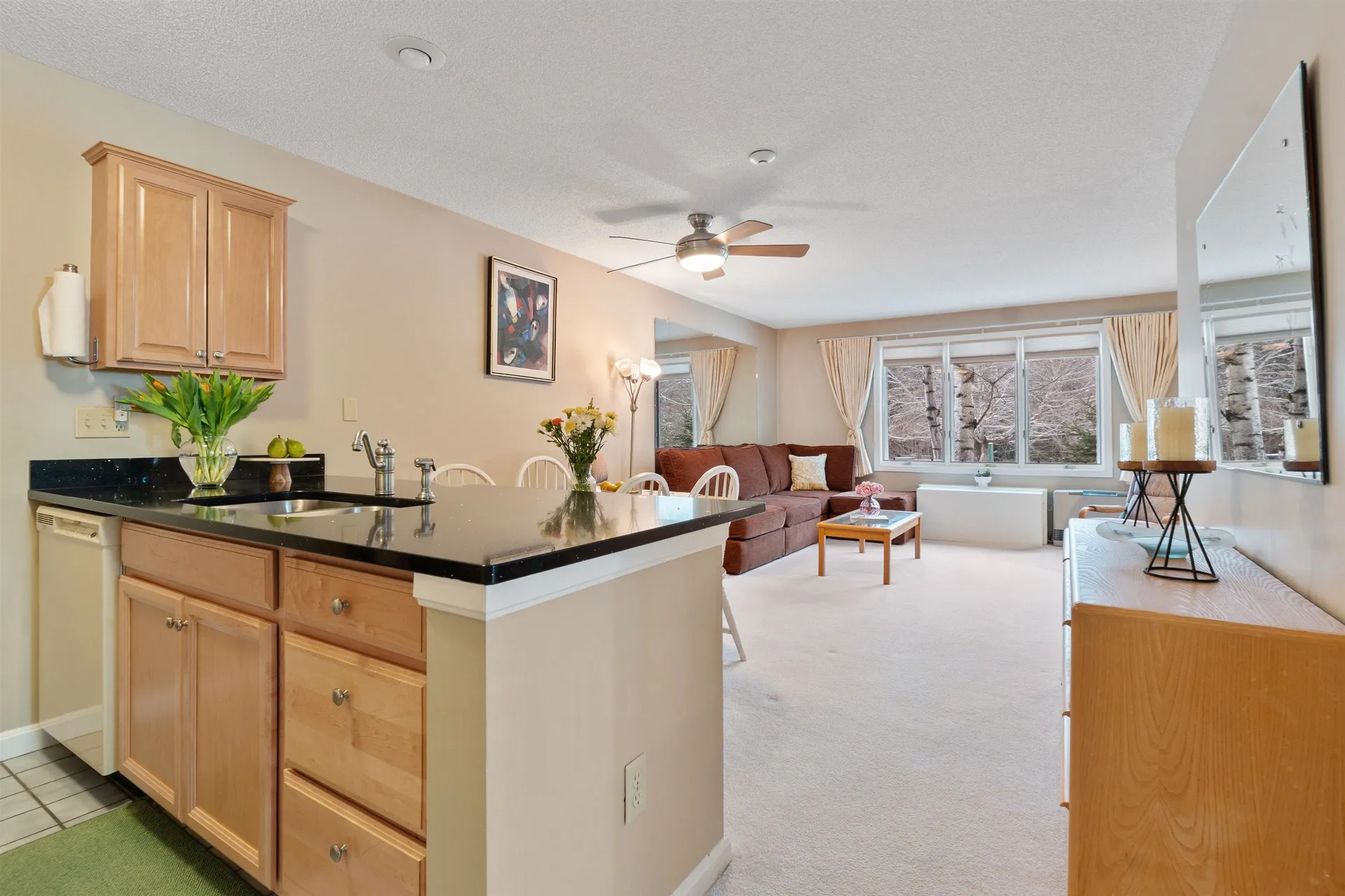 10 Lakeside W Drive Woodstock NH 03262