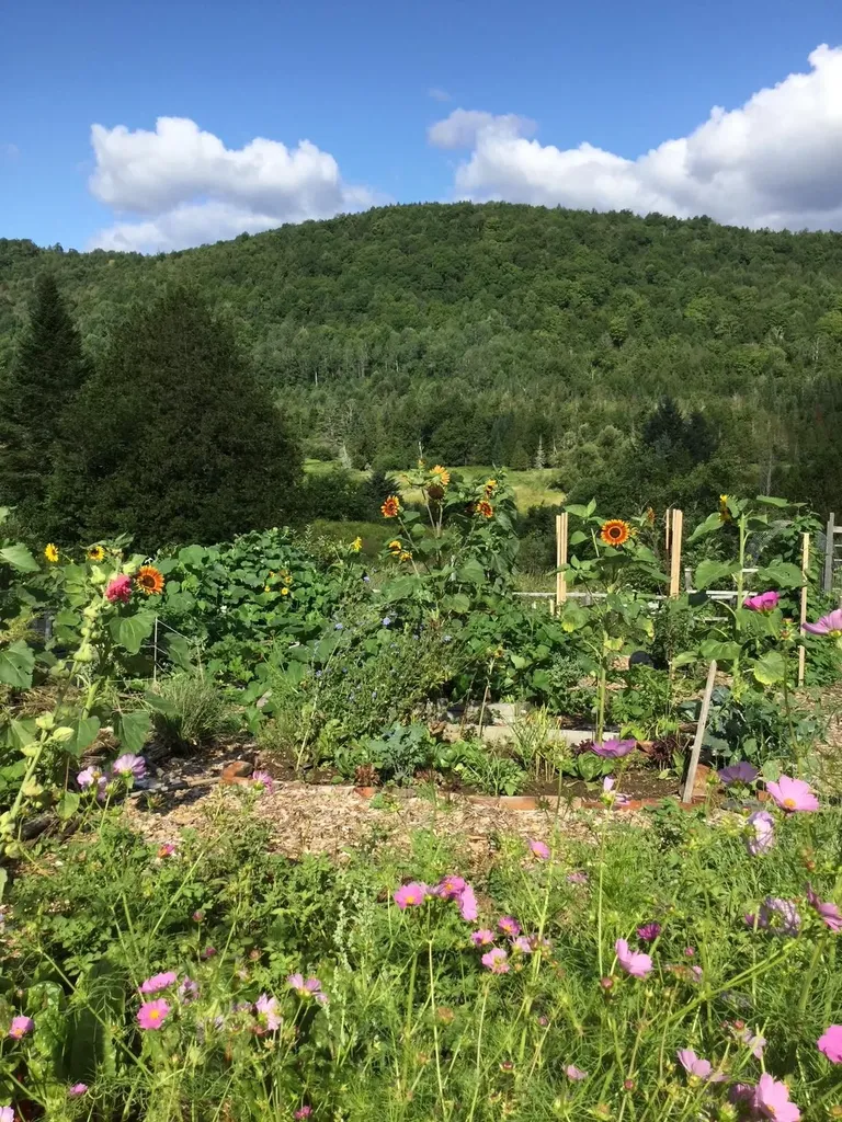 1110 Creek Road Albany VT 05845