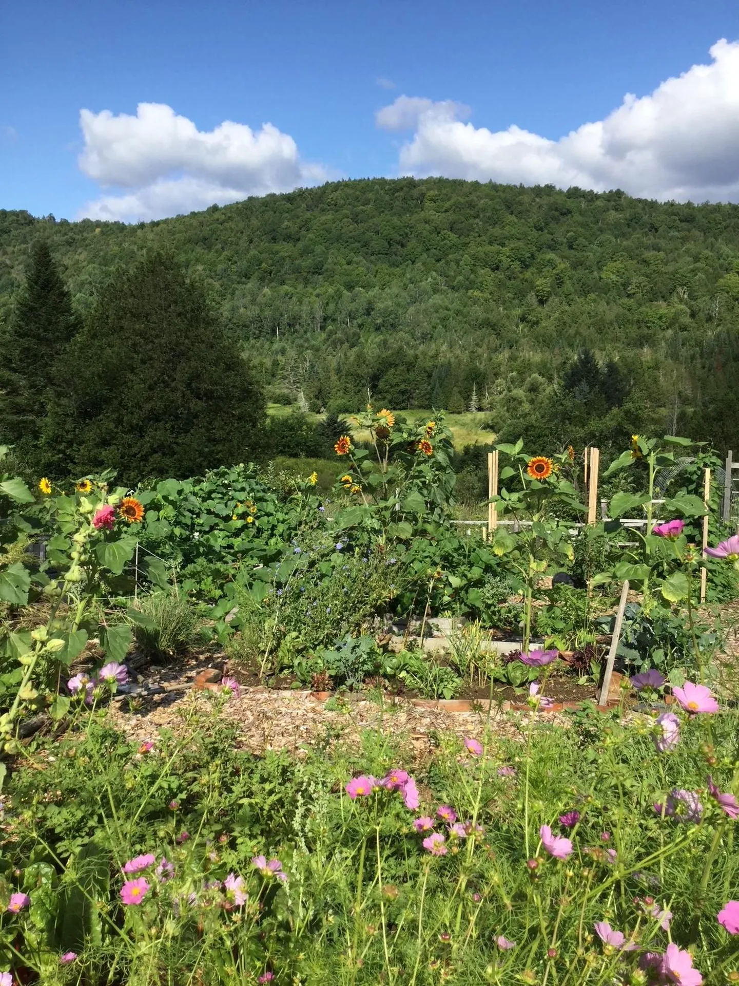 1110 Creek Road Albany VT 05845