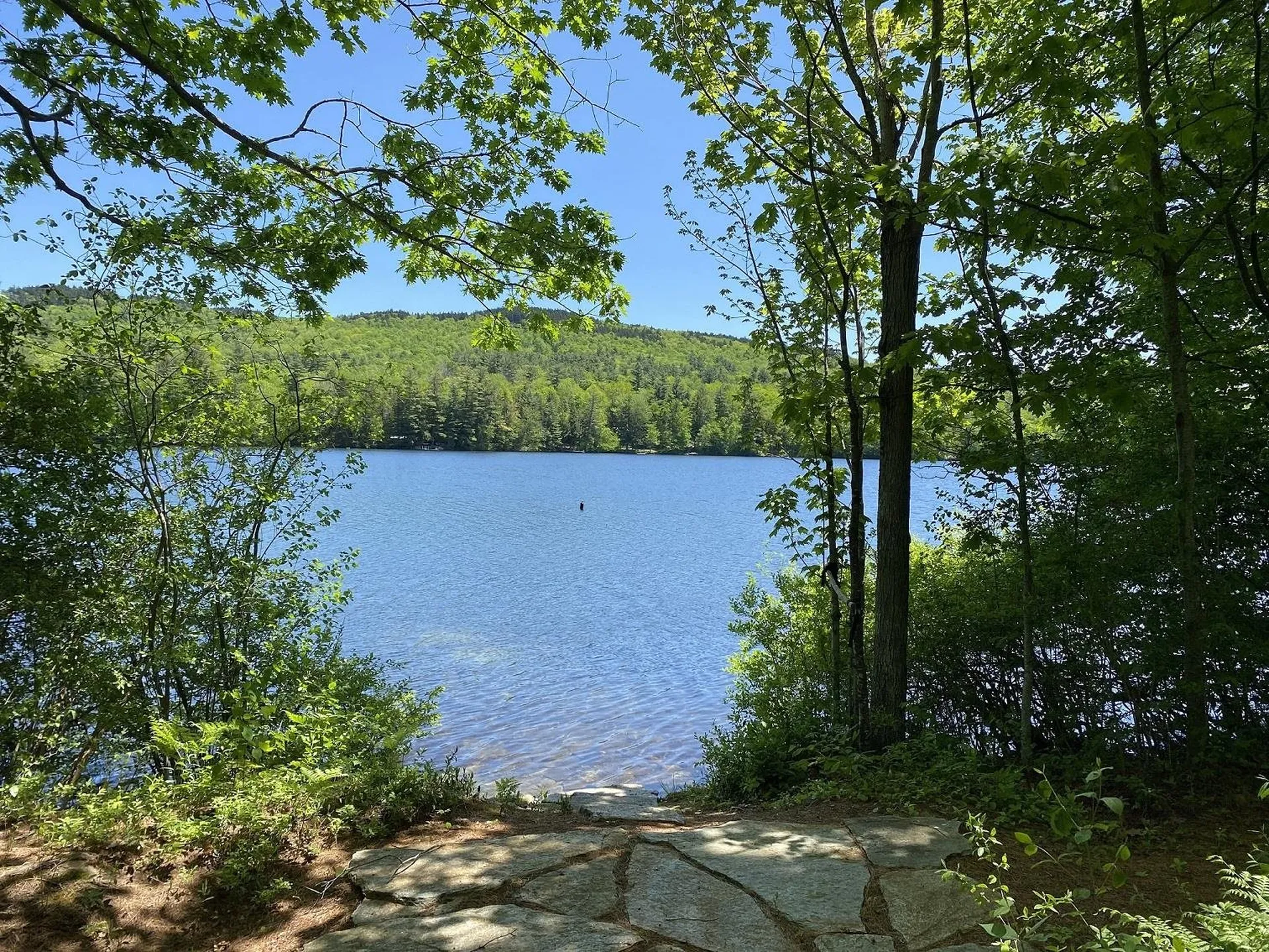 150 Woodcrest Springfield NH 03284