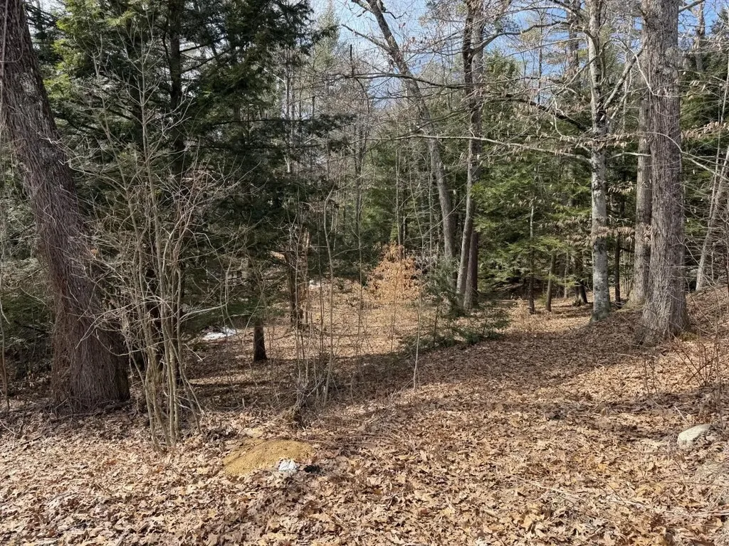 163 Pumpkin Hill Road Warner NH 03278