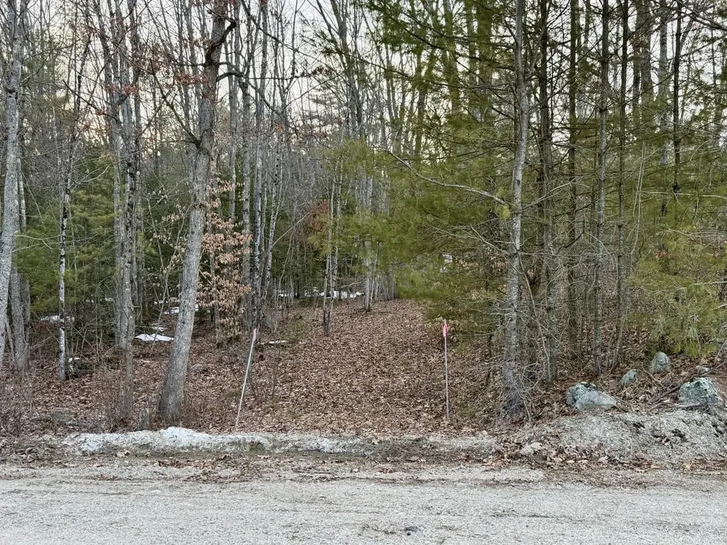 163 Pumpkin Hill Road Warner NH 03278