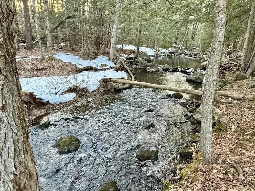 163 Pumpkin Hill Road Warner NH 03278