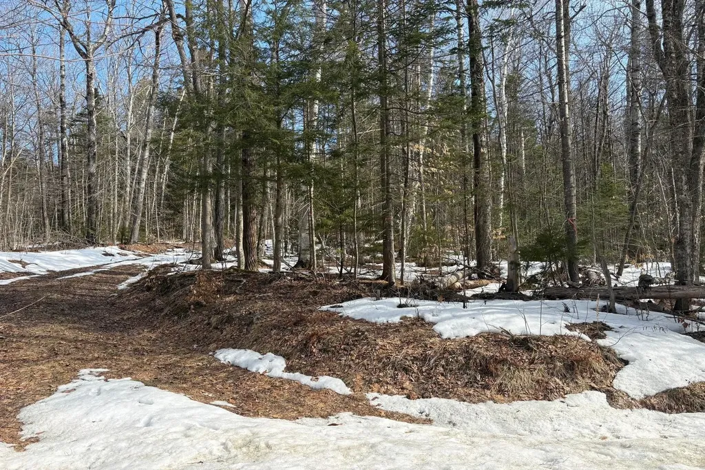 360 Dorman Road Andover VT 05143