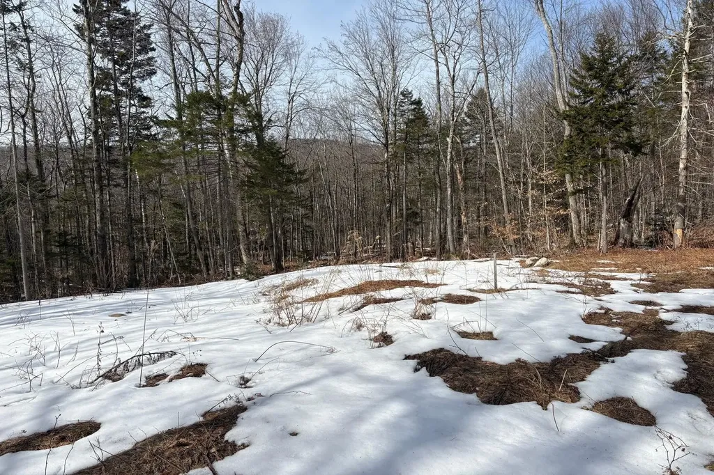 360 Dorman Road Andover VT 05143