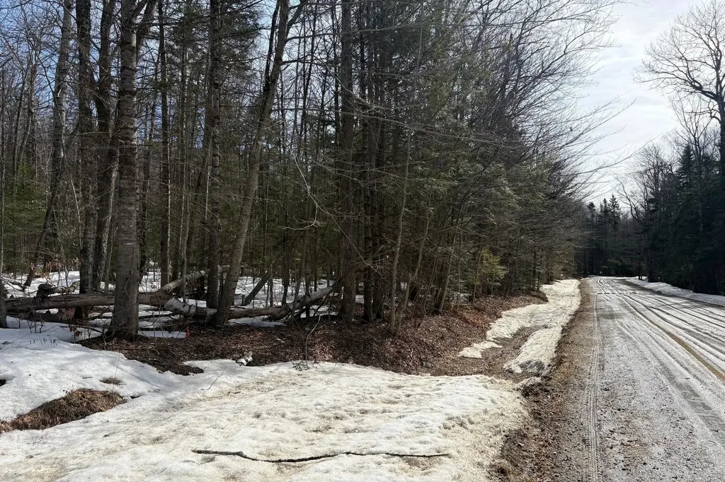 360 Dorman Road Andover VT 05143