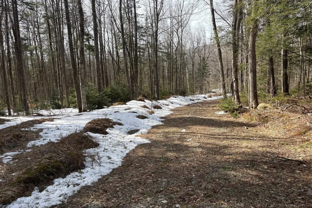 360 Dorman Road Andover VT 05143