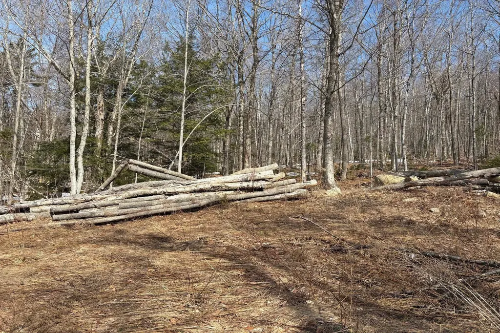 360 Dorman Road Andover VT 05143