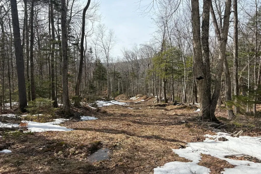 360 Dorman Road Andover VT 05143