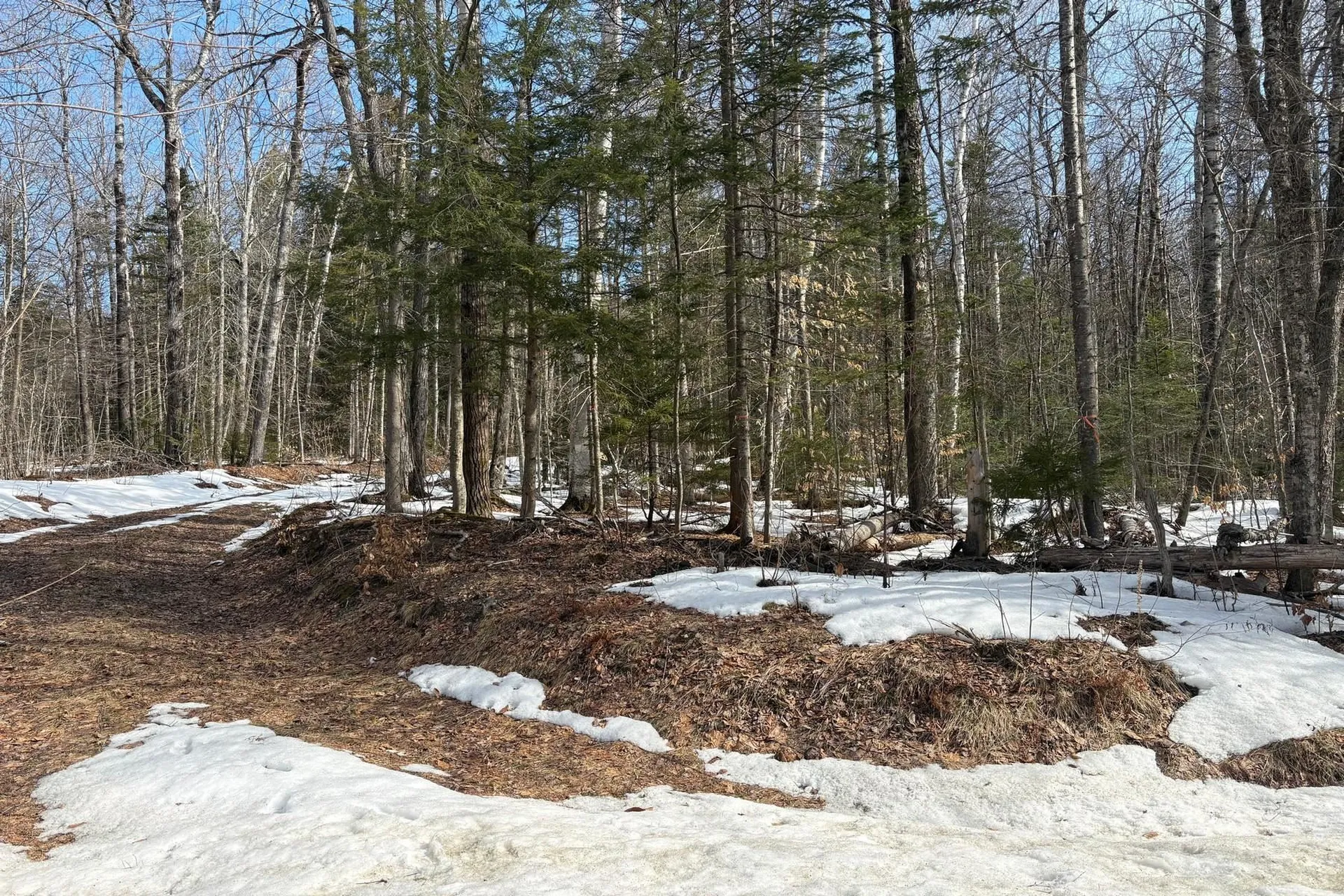 360 Dorman Road Andover VT 05143