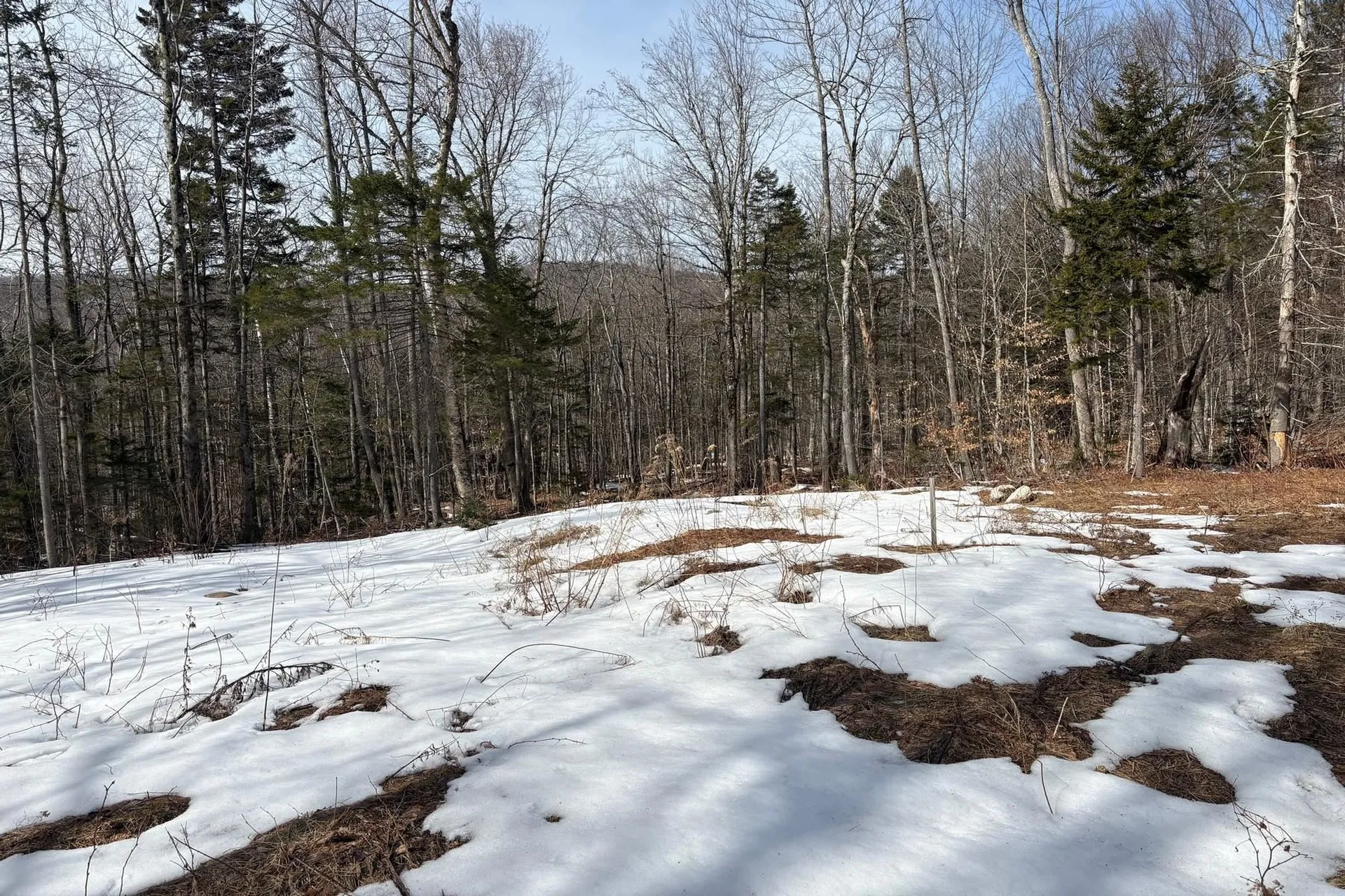 360 Dorman Road Andover VT 05143