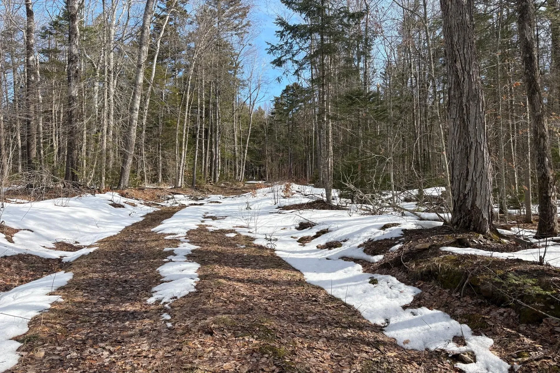 360 Dorman Road Andover VT 05143