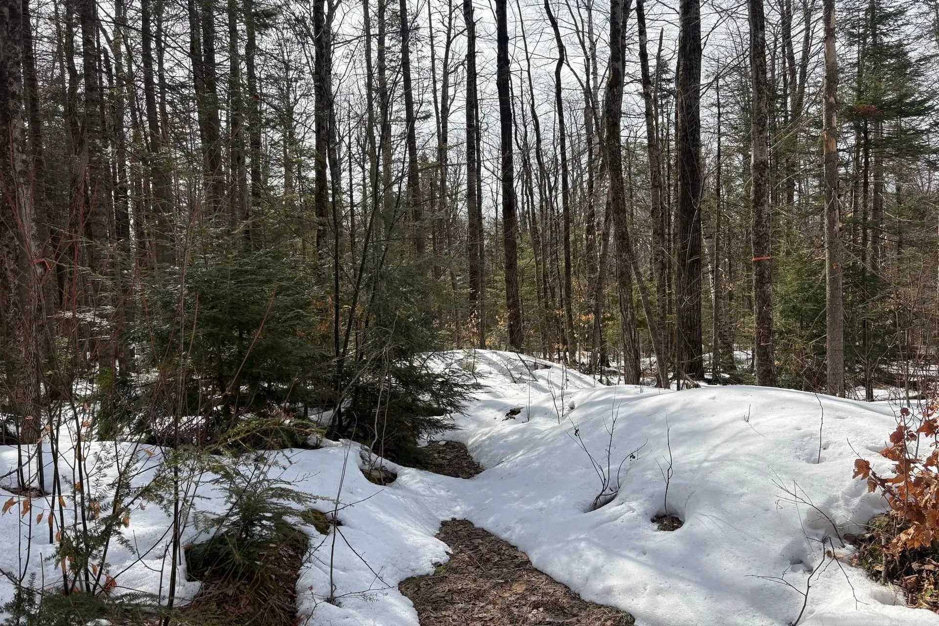 360 Dorman Road Andover VT 05143