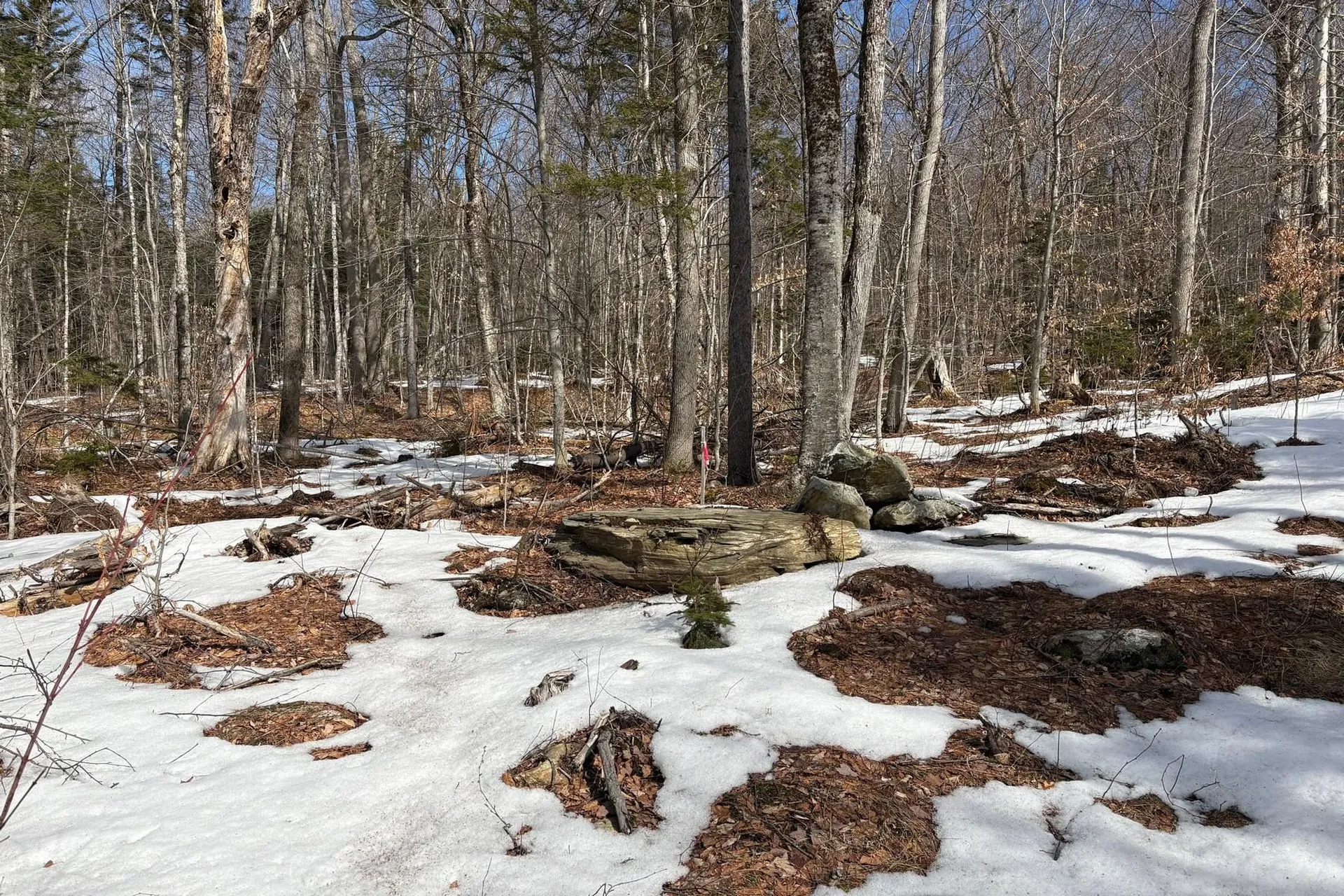 360 Dorman Road Andover VT 05143