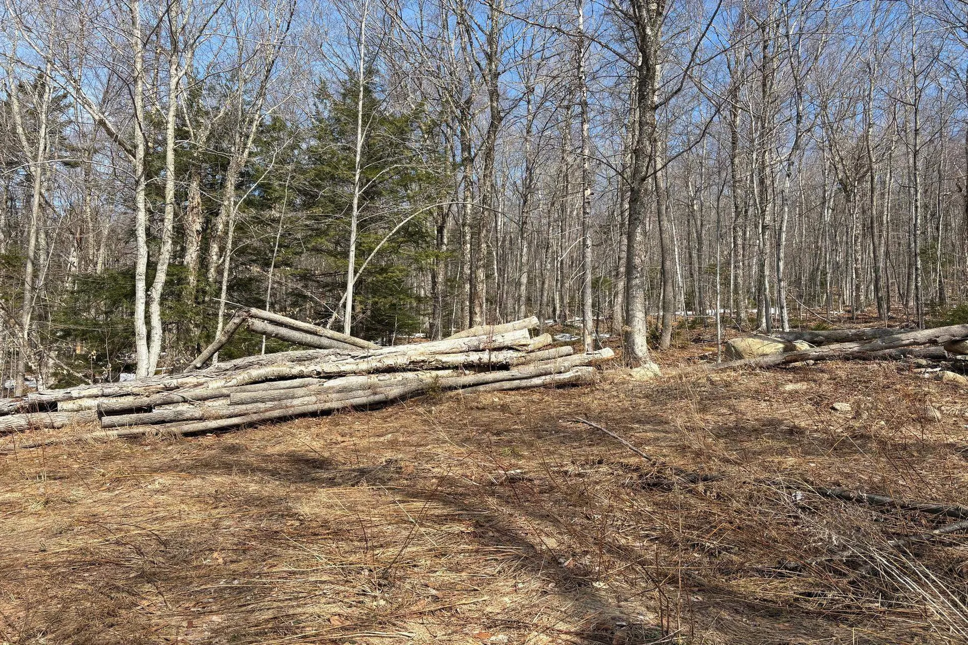 360 Dorman Road Andover VT 05143