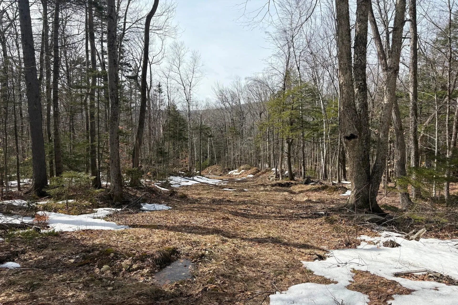 360 Dorman Road Andover VT 05143